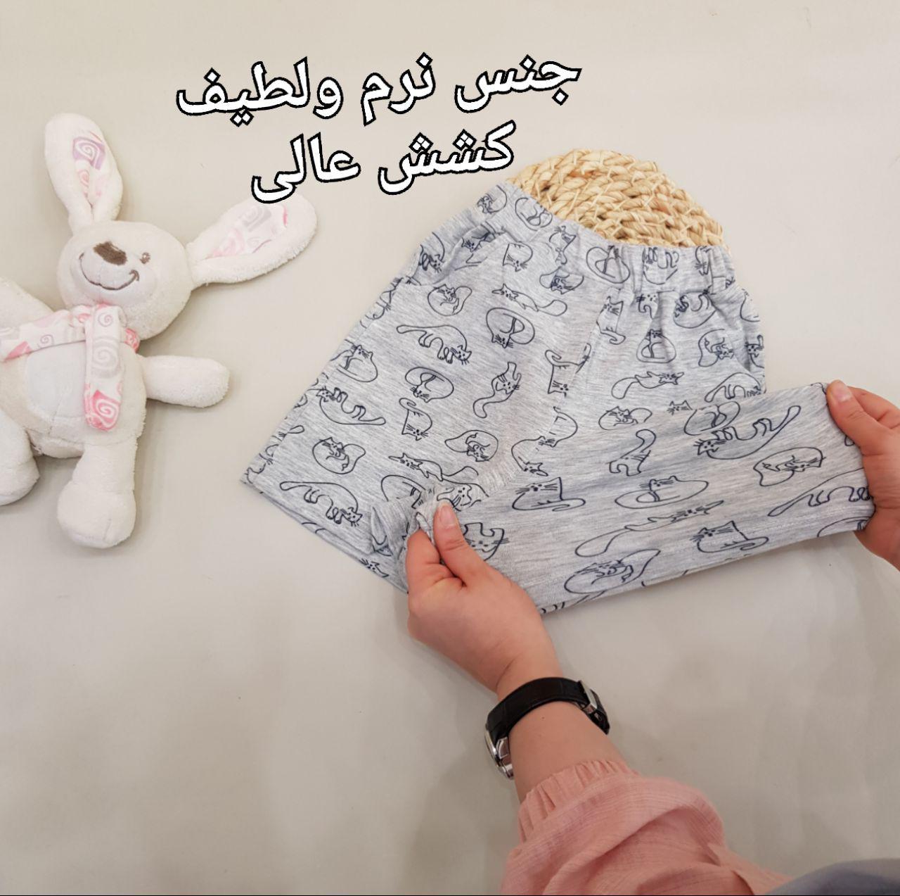عکس شورتک گربه ملوس - شماره 3