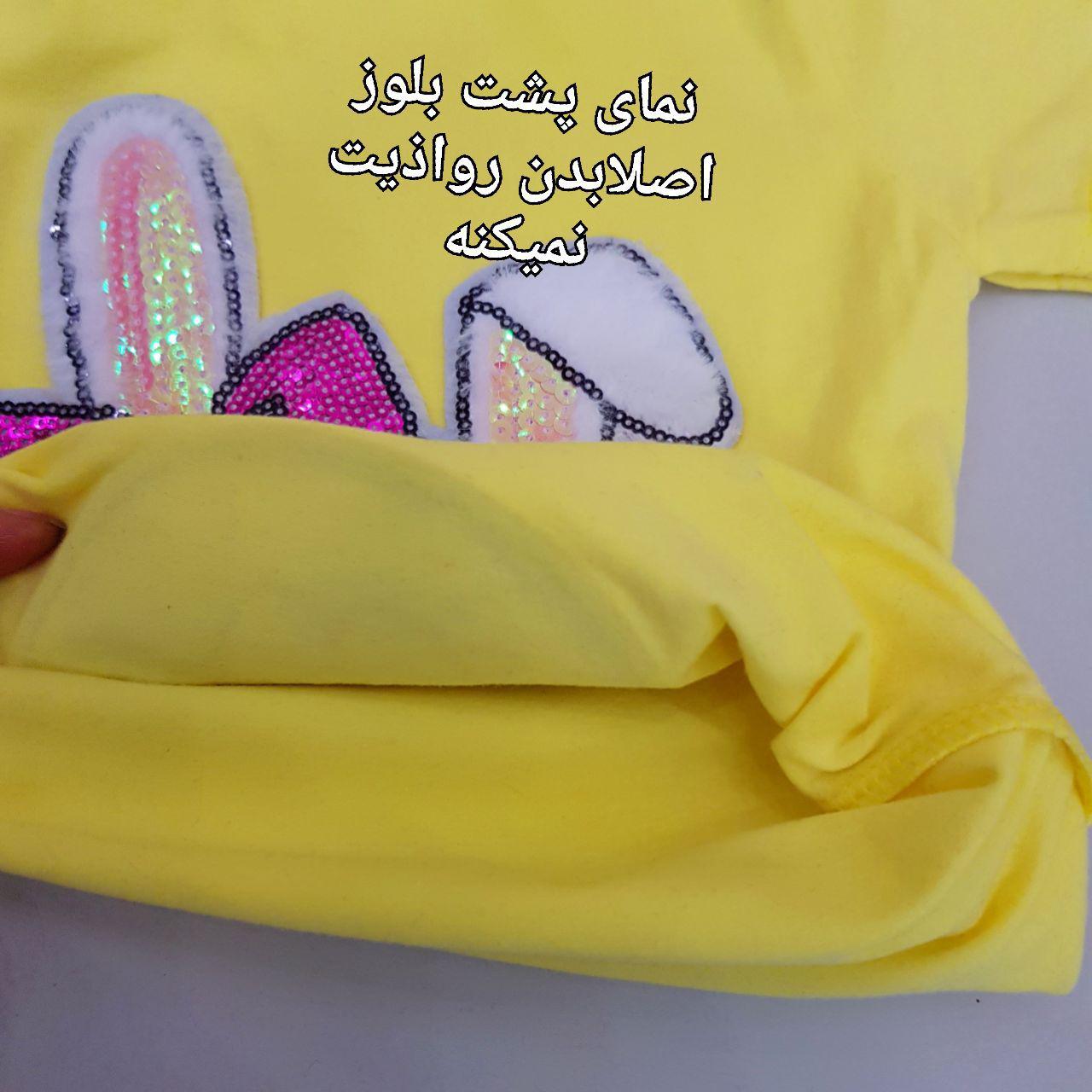 عکس تیشرت شلوارک خرگوش عینکی - شماره 5
