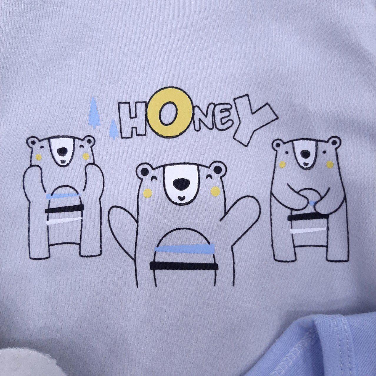 عکس سه تیکه خرس Honey - شماره 1