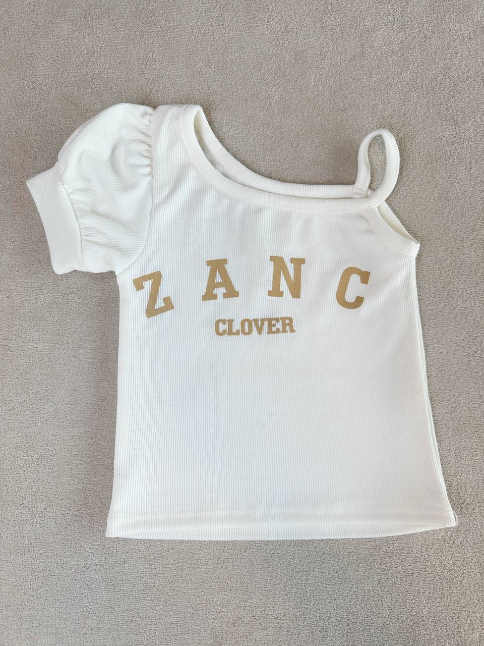 عکس تک کراپ کبریتی ZANC شارژ شد - شماره 8